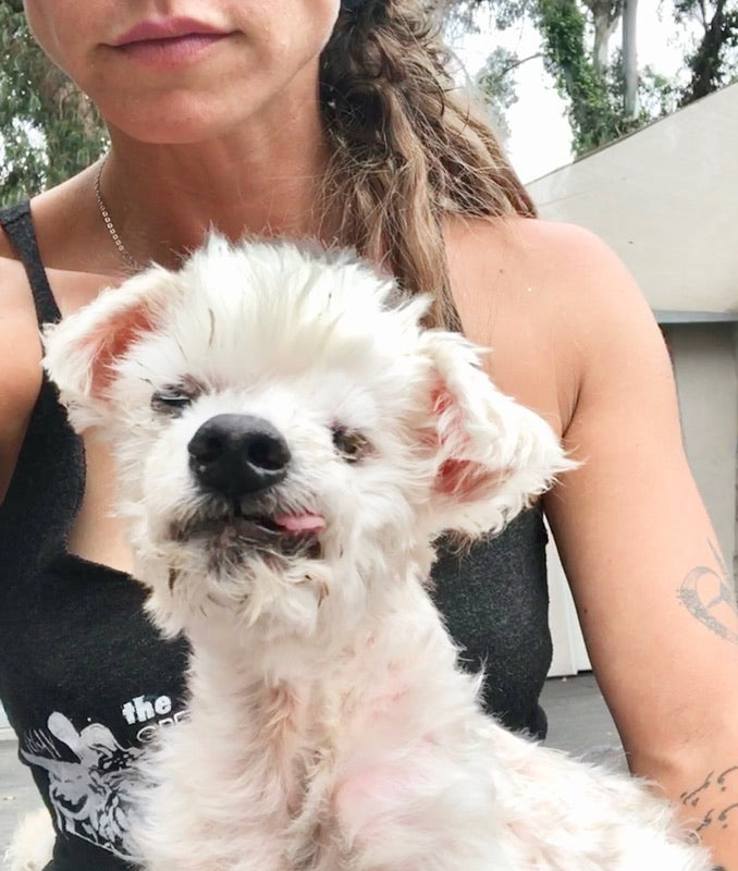 Episode 56: Carla Naden and Animal Synergy