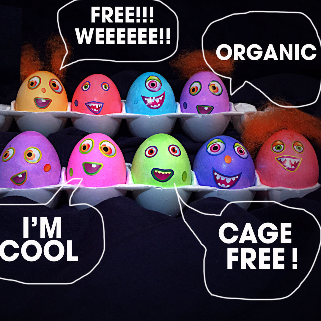 Eggs: What does free range or organic mean?