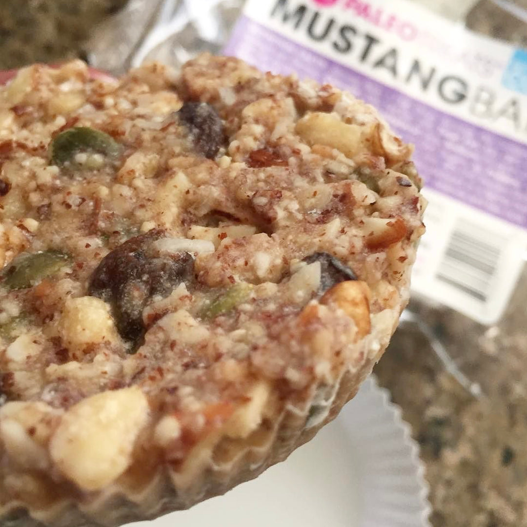 Mustang bar keto grain free single serving granola by Paleo Treats.