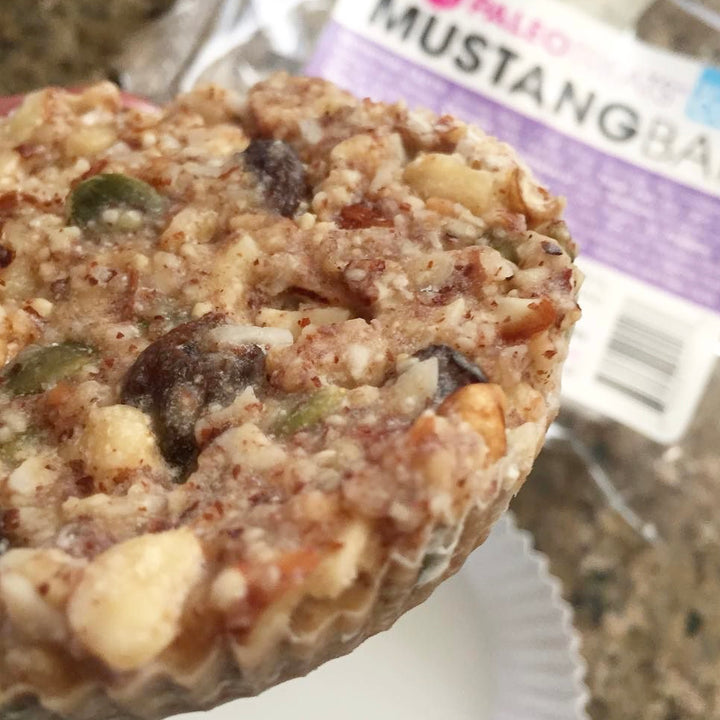 Mustang bar keto grain free single serving granola by Paleo Treats.