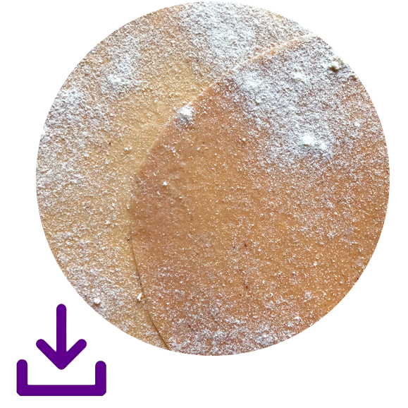 Paleo tortilla recipe download